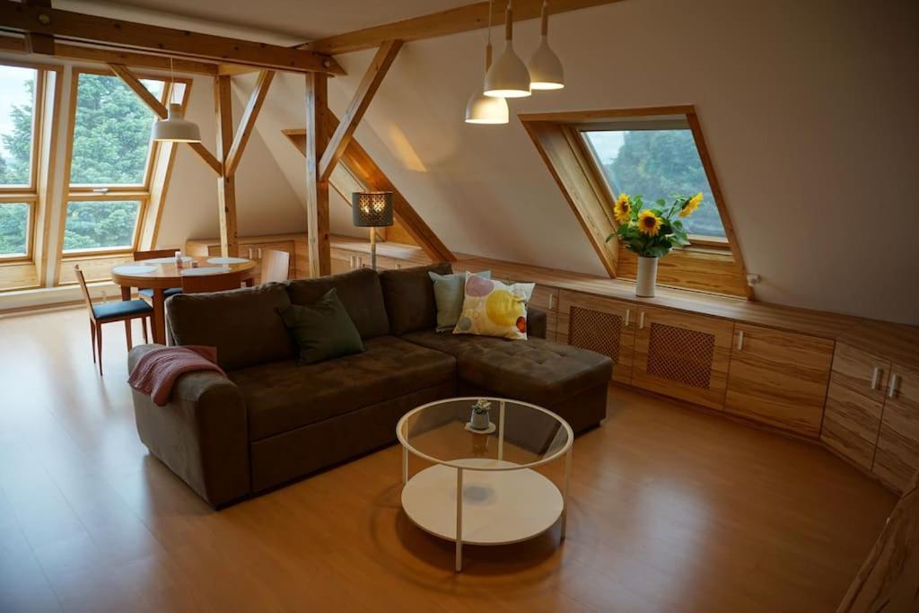Appartement Mit Ausblick Im Dresdner Suedwesten Dresden